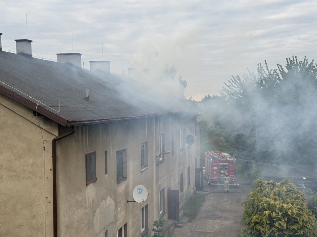 Habemus smog! Biały dym nie z Watykanu, a z komina w Oświęcimiu, niska emisja w pełnej krasie