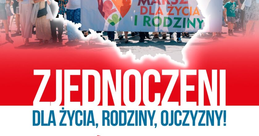 Uczestnicy Marszu dla Życia i Rodziny w Oświęcimiu
