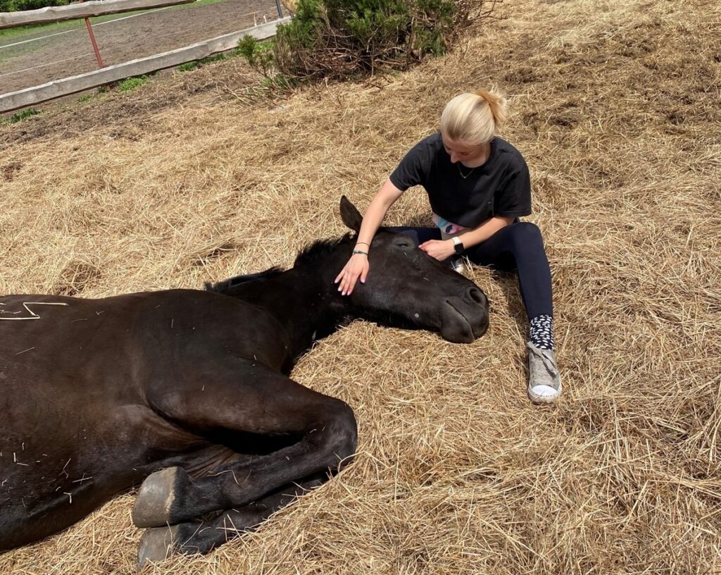 Policja w Oświęcimiu i inspektorzy OTOZ Animals uratowali konia z tragicznych warunków – właścicielowi grozi więzienie.