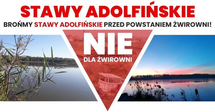 Stawy Adolfińskie Oświęcim Stare Stawy żwirownia