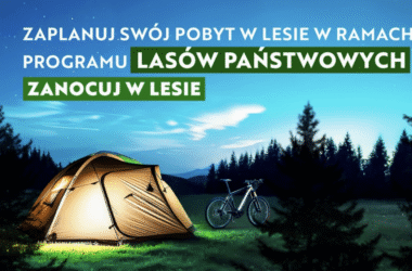 poradnik nocleg w lesie Oswiecimonline.pl