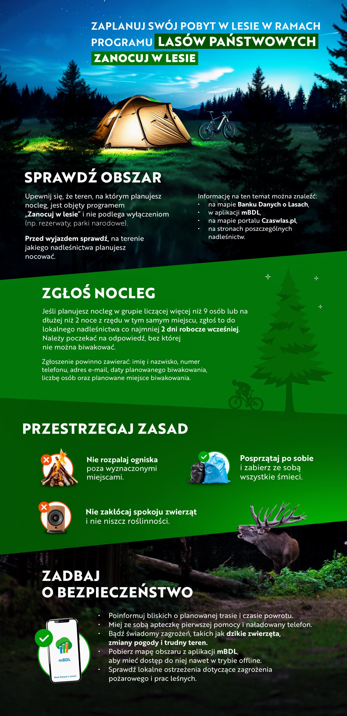 Jak legalnie zanocować w lesie? Przewodnik dla rowerzystów i miłośników natury