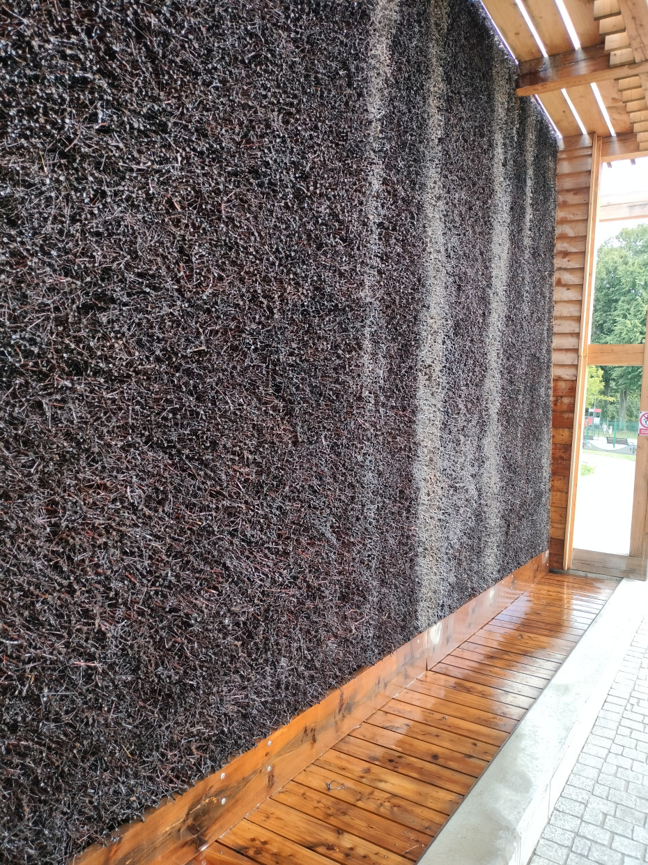 Nowa tężnia w Zatorze zachwyca mieszkańców. Efekt jak po urlopie nad Bałtykiem