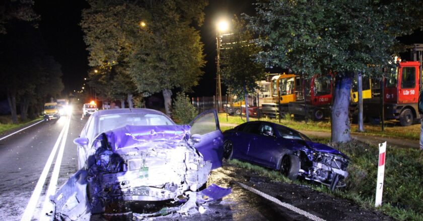 Wypadek Kęty dziki – BMW zderzyło się ze stadem na ulicy Krakowskiej