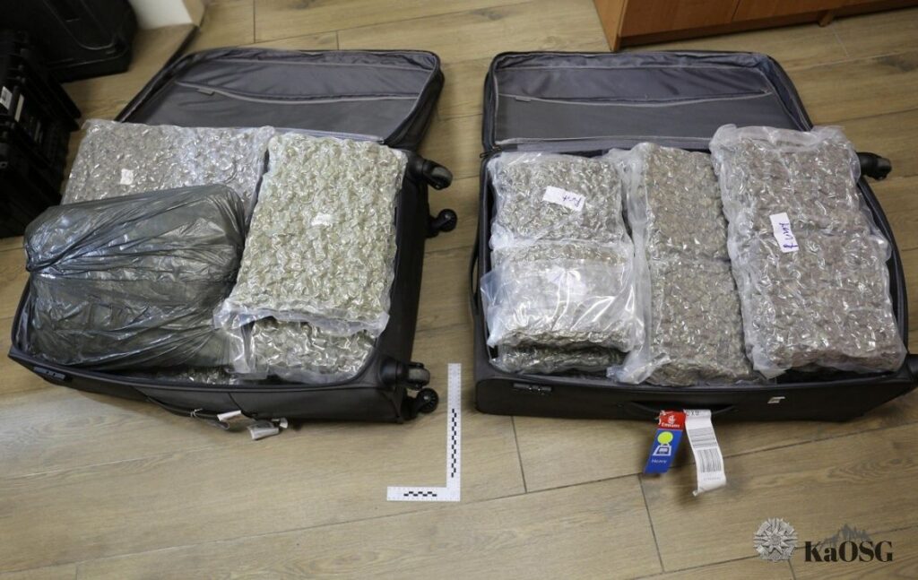 Dwie otwarte walizki stojące na podłodze, wypełnione szczelnie zapakowanymi w foliowe worki dużymi ilościami suszu roślinnego zabezpieczonego przez służby. Widoczne pakunki są ułożone warstwowo, a obok jednej z walizek leży znacznik pomiarowy Straży Granicznej.