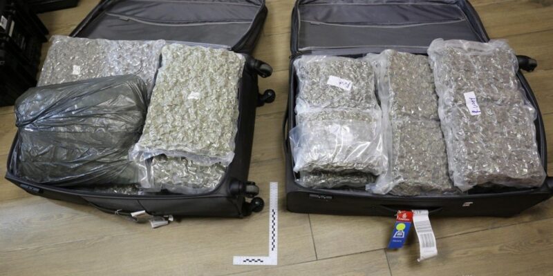 Dwie otwarte walizki stojące na podłodze, wypełnione szczelnie zapakowanymi w foliowe worki dużymi ilościami suszu roślinnego zabezpieczonego przez służby. Widoczne pakunki są ułożone warstwowo, a obok jednej z walizek leży znacznik pomiarowy Straży Granicznej.