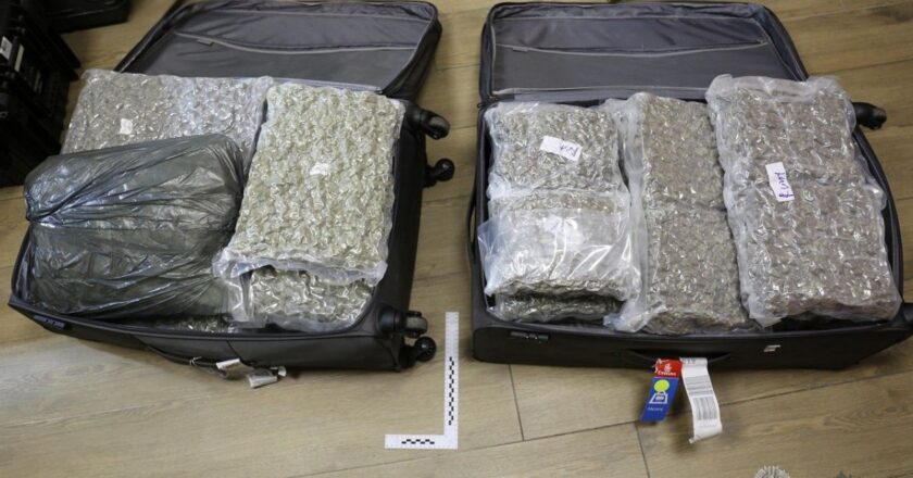 Dwie otwarte walizki stojące na podłodze, wypełnione szczelnie zapakowanymi w foliowe worki dużymi ilościami suszu roślinnego zabezpieczonego przez służby. Widoczne pakunki są ułożone warstwowo, a obok jednej z walizek leży znacznik pomiarowy Straży Granicznej.