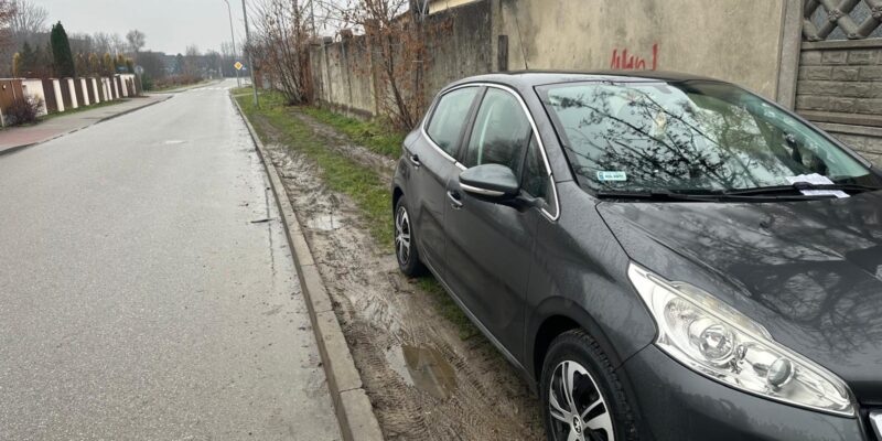 Na Osiedlu Stare Stawy sytuacja jest dramatyczna, upychane bloki bez wystarczającej przestrzeni do parkowania tylko pogarszają już i tak fatalną sytuację. T