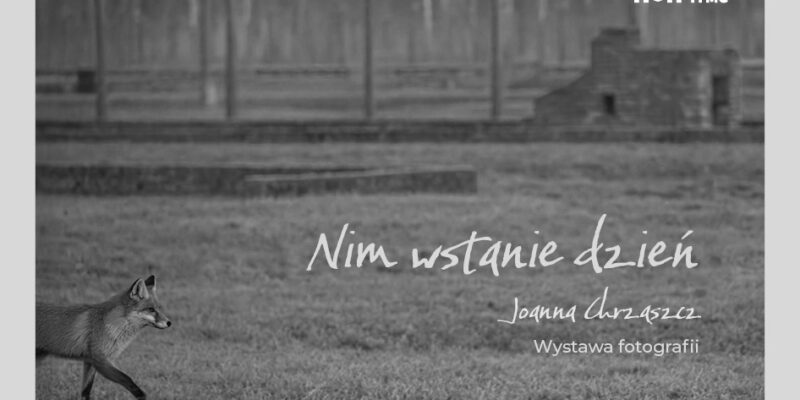 Plakat czarno-białej wystawy fotografii „Nim wstanie dzień” Joanny Chrząszcz, lis na tle terenu byłego obozu Auschwitz-Birkenau, MDSM Oświęcim