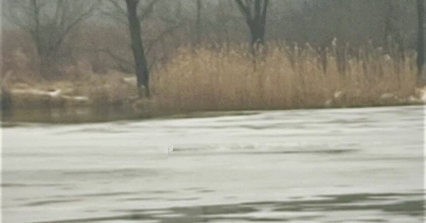 Zamarznięta rzeka Soła w Oświęcimiu – cienka, nierówna pokrywa lodowa na wodzie, stwarzająca poważne zagrożenie dla osób wchodzących na lód zimą.
