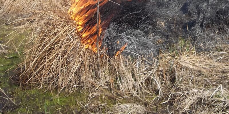 Zakaz wypalania łąk Oświęcim policja straż pożarna mandat 34-latek pożar trawa 2026